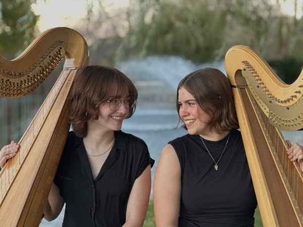 calypso harp duo